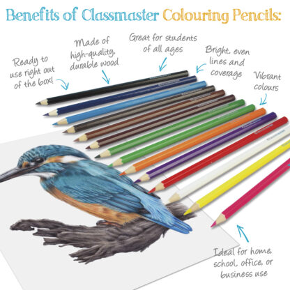 Classpack of Assorted Colouring Pencils - Packs of 144, 288, 500 - Image 3
