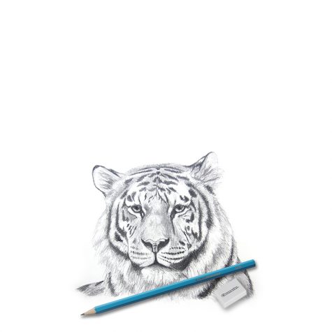 Graphite and sketching pencils 22