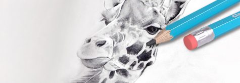 HB and sketching header