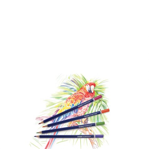 Swash colouring pencils