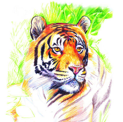 Premium Assorted Colouring Pencils, Pack of 144 - Image 3