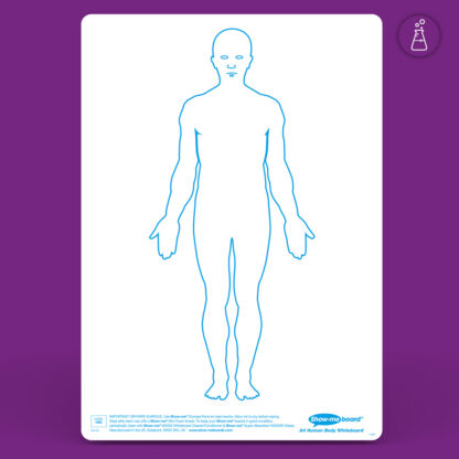 A4 Human Body Drywipe Boards