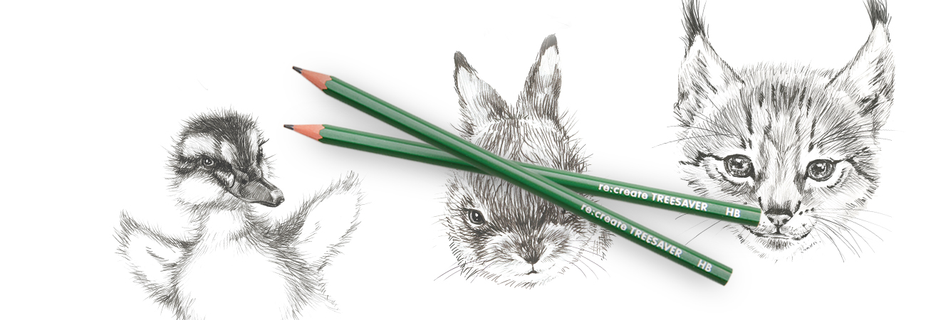 Treesaver HB Pencils