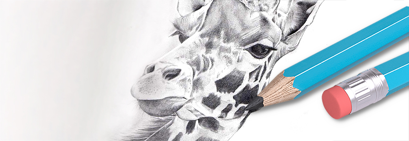 HB and Sketching Pencils