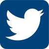 Twitter Logo in Eastpoint Blue